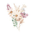 Image Not Available